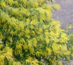 DSC01139-1.jpg