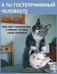 WhatsApp Image 2022-04-03 at 12.51.31.jpeg