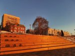 IMG_20220406_184124_compress58.jpg