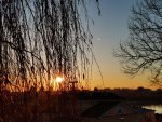 IMG_20220406_183001_compress55.jpg