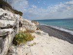 DSC04699- 1.jpg