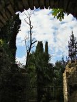 DSC04678-1.jpg