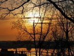 IMG_20220423_183310_compress61.jpg