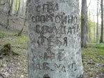 P1010036 - копия.JPG