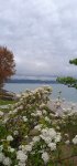IMG_20220508_163935_1.jpg