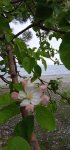 IMG_20220508_164257.jpg