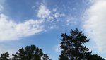 IMG_20220522_184904_resize_79.jpg