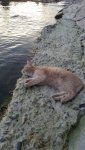 c9VfgQJtvYF1umT_xJPSKVh8Rm0SDXGYTDhw2kFt8CTVWPtds9Z8mQ6uV_9TE8USNPwaJ1H3.jpg