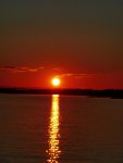 IMG_20220622_204215_compress3.jpg