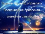 kotomatritsa_At.jpg