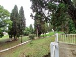 20220711_120346.jpg