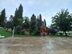20220711_120741.jpg