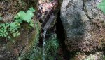 20180703-133320_DSC02876_1600x900.jpg