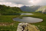 DSC_0281_2.jpg