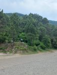 20220713_102629.jpg