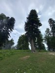 20220713_110516.jpg