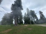 20220713_110524.jpg
