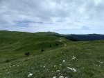 20220713_130633.jpg