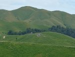 20220713_130640.jpg