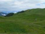20220713_130656.jpg