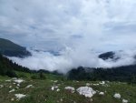 20220713_132736.jpg