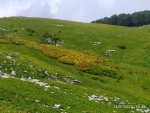 IMG-20220714-WA0013_1.jpg