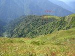 SANY0710.JPG