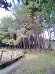 IMG20220816113043_resize_89.jpg
