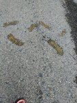 IMG20220819122657_resize_72.jpg