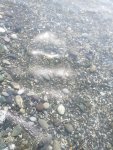 IMG20220823102945_resize_62.jpg