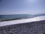 IMG20220826150851_resize_55.jpg
