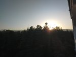 IMG20220828062135_resize_98.jpg