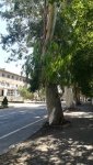 IMG_20220828_133317_resize_71.jpg