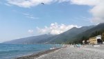 IMG_20220829_141457_resize_60.jpg