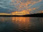 IMG_20220904_203812_resize_90.jpg