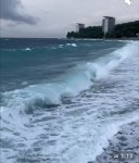 EBB68E8D-9CF4-4369-BF22-0786EBB06AD1.jpeg