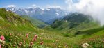 P8181053-Панорама.jpg