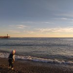 IMG_20220926_173832_resize_38.jpg