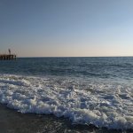 IMG_20220929_164812_resize_59.jpg