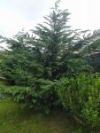 IMG_20221004_094117_resize_49.jpg