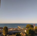IMG_20221007_074646_resize_95.jpg