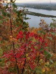 IMG_20221015_163202_compress1.jpg