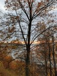 IMG_20221015_163744_compress9.jpg