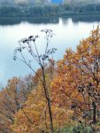 IMG_20221015_165924_compress5.jpg