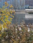 IMG_20221022_112615_compress0.jpg
