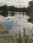 IMG_20221022_112743_compress94.jpg