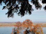 IMG_20221022_120403_compress32.jpg
