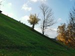 IMG_20221022_122034_compress39.jpg