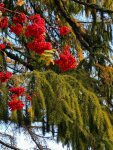 IMG_20221022_124225_compress35.jpg