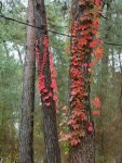 IMG_20221103_140411_compress35.jpg